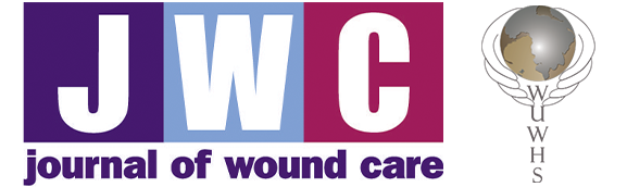 World Union of Wound Healing Societies Supplement